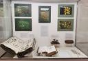 An exhibition on the history of plants is coming to Saffron Walden Museum