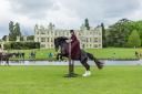 The Victorian Horses event will return to Audley End.