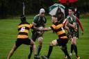Saffron Walden Rugby Club in action (pic Jamie Pluck)