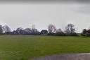 Cricket has been played on Hill Green, Clavering, since the 1880s