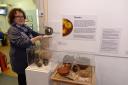 Museum volunteer June Baker examines a Roman bronze wine strainer as part of the Feeding the Family exhibition