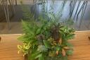 Arrangements on display at the Saffron Walden Horticultural Society Autumn Show