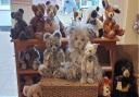 Teddybears and other soft toys at Abracadabra Teddy Bears, Saffron Walden