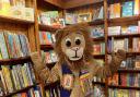 Linton Children's Book Festival mascot Brian the Lion at Hart's Books in Saffron Walden