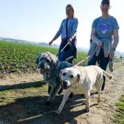 St Clare Hospice hope hundreds of walkers and their dogs to turn out for Winter Walkies 2022 near Hastingwood