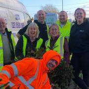 A Christmas tree collection in full swing for St Clare Hospice