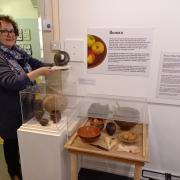 Museum volunteer June Baker examines a Roman bronze wine strainer as part of the Feeding the Family exhibition