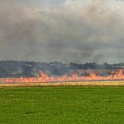 The fire broke out at Salix Farm in Great Sampford