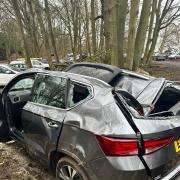 The car was written off after a tree branch fell on it at Audley End Miniature Railway